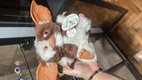 Gizmo NECA